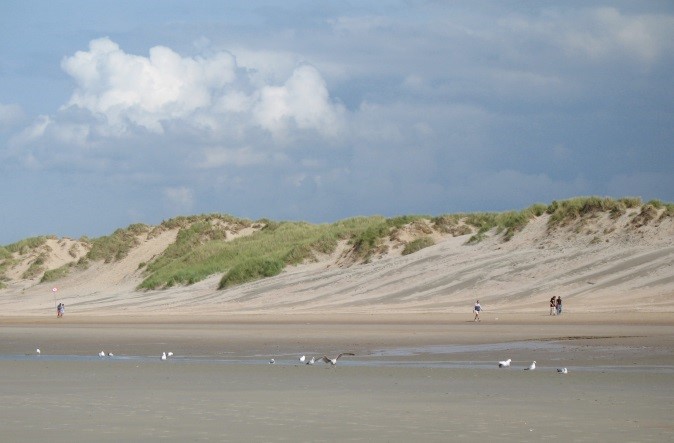 Dune at Koksijde