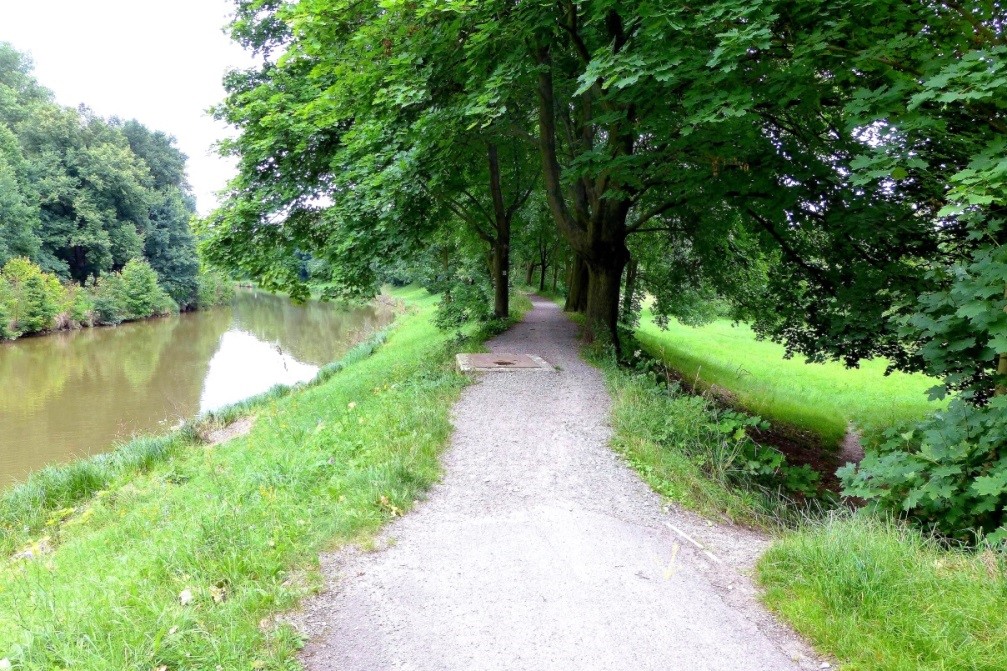 Trees present in the dike profile Orlice in Czech Rep. (Source: M.Z. Voorendt)