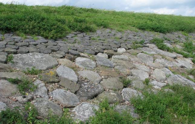 The dike between Edam and Amsterdam (Markermeerdijk) is popular with the grass ringed snake, which could be sheltering or hibernating between the stones of the revetment.