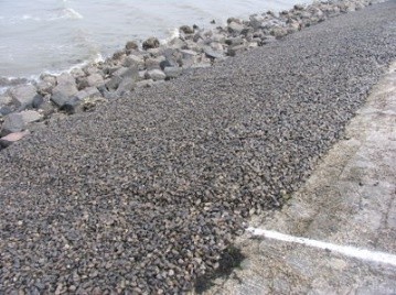 Elastocoast 1