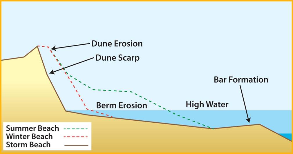 Schematic representation of dune erosion (i.e., dune profiles before and after storm).