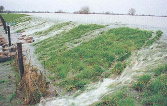 Overflowing levee (source: Beeldbank RWS)