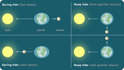 Relation between positions of Earth and Moon and the tidal movement on Earth